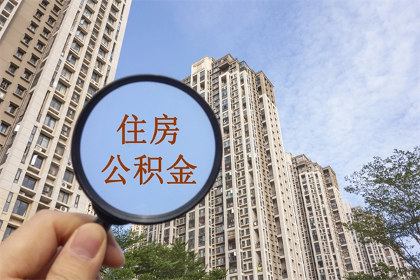 固始辞职多久公积金可以全部取出来吗（辞职之后公积金多长时间可以取）